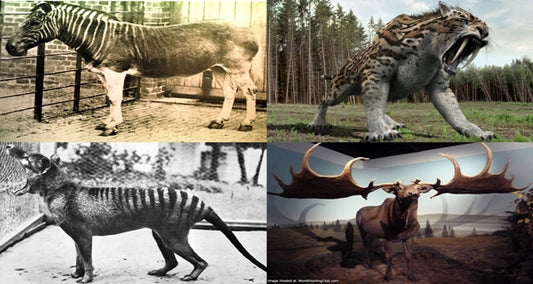 Top 10 Strangest Extinct Animals