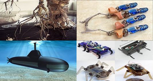 Top 10 High Tech Nature Inspired Gadgets