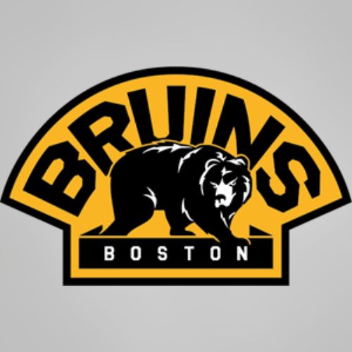 BOSTON BRUINS