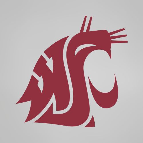 Washington state Cougars