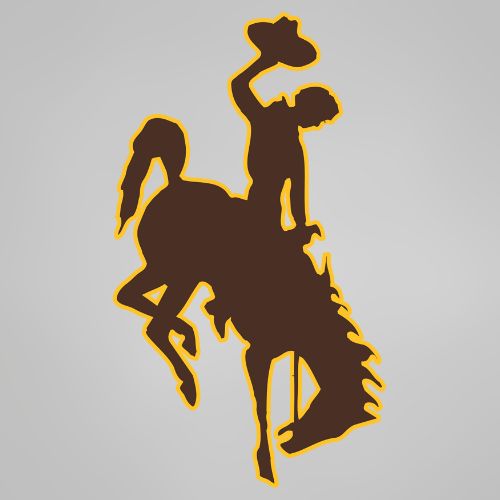 Wyoming Cowboys