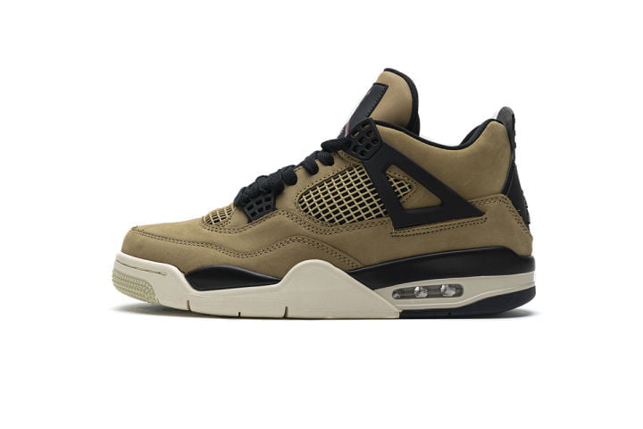 Jordan 4 Mushroom